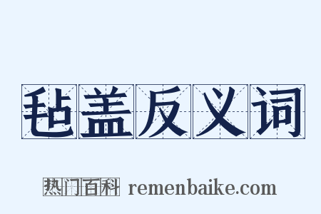 毡盖反义词是什么意思的图片